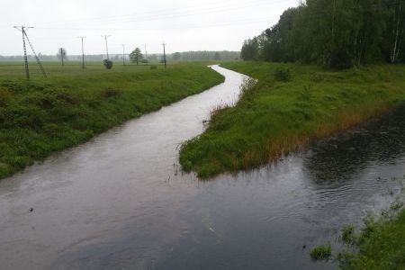 Wysokie stany wód w Bieruniu